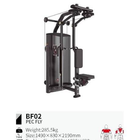 Pec fly BF02