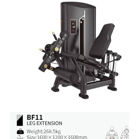 Extensión de pierna BF11
