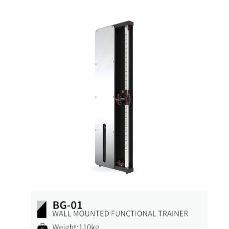 Functional trainer de pared BG-01