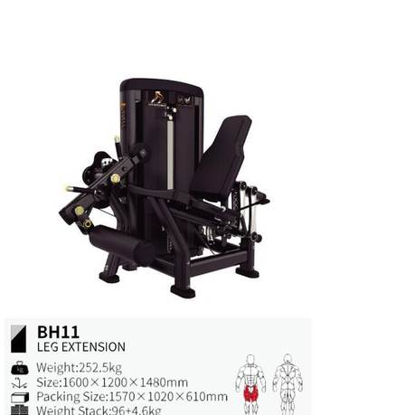Extensión de pierna BH11