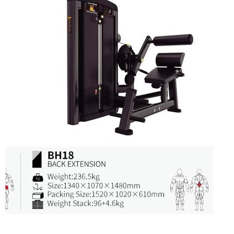 Extensión de espalda BH18