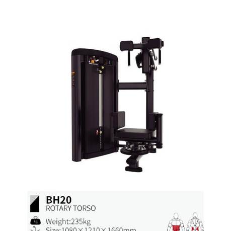 Torso rotatorio BH20