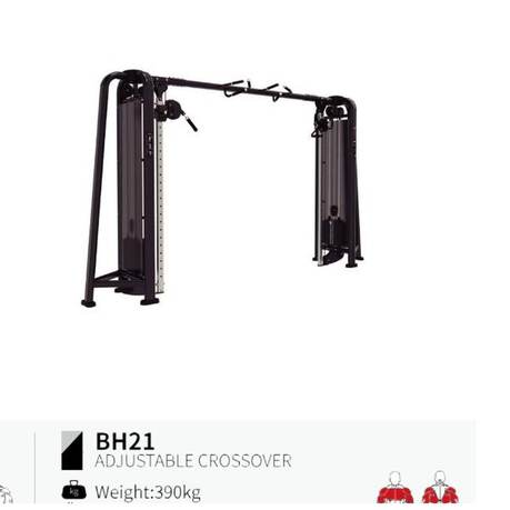 Crossover ajustable BH21