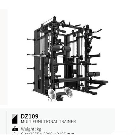 Multifunctional trainer DZ109