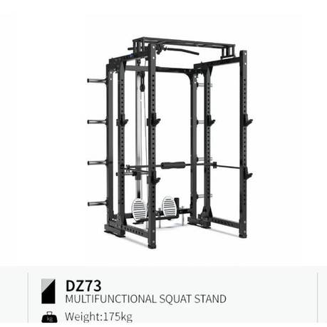 Multifunctional squat stand DZ73
