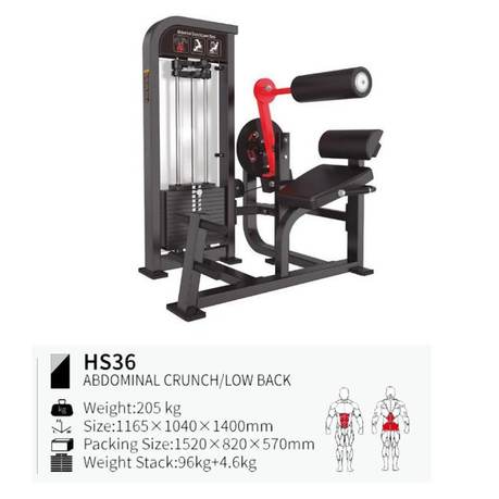 Abdominal/lumbar HS36