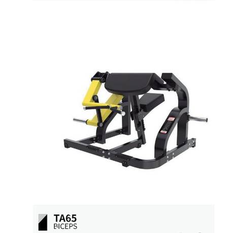 Bíceps TA65